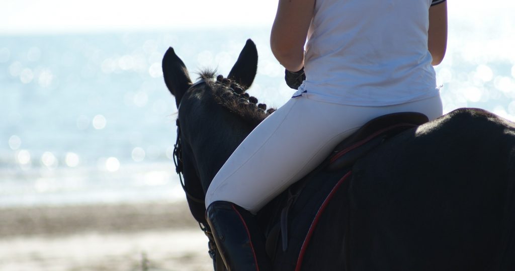tips buitenrit,tips op het strand rijden met je paard,het strand op met je paard,paardrijden door de duinen,paardrijden door het bos,buitenrit paardrijden,paardrijden buitenrit,op buitenrit,waar op letten buitenrit,ervaringen buitenrit,buitenrit noordwijkerhout,buitenrit noordwijk,op buitenrit spannend,buitenrit maken,blog buitenrit,paardenblog buitenrit