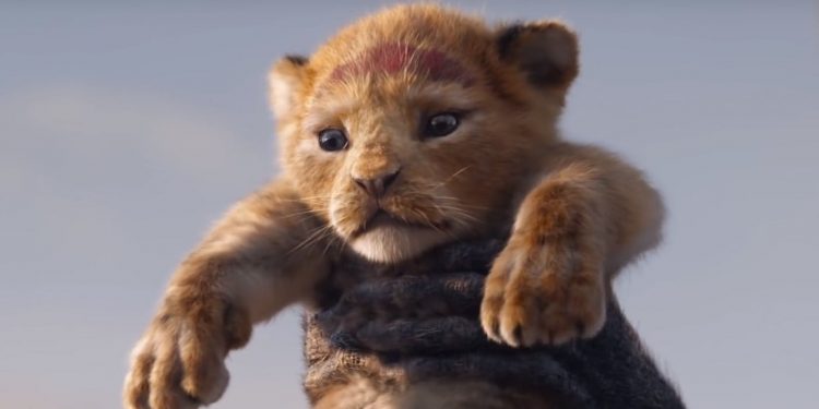 the lion king,nieuwe film lion king,leeuwenkoning,simba