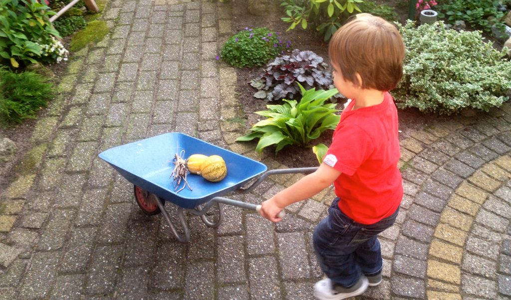 kindvriendelijke tuin - moestuin