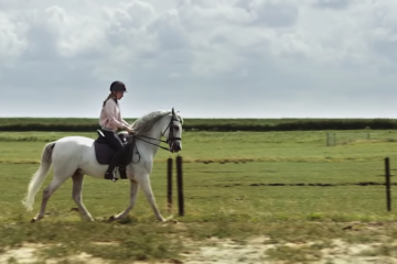 whitestar,film britt paarden,trailer whitestar