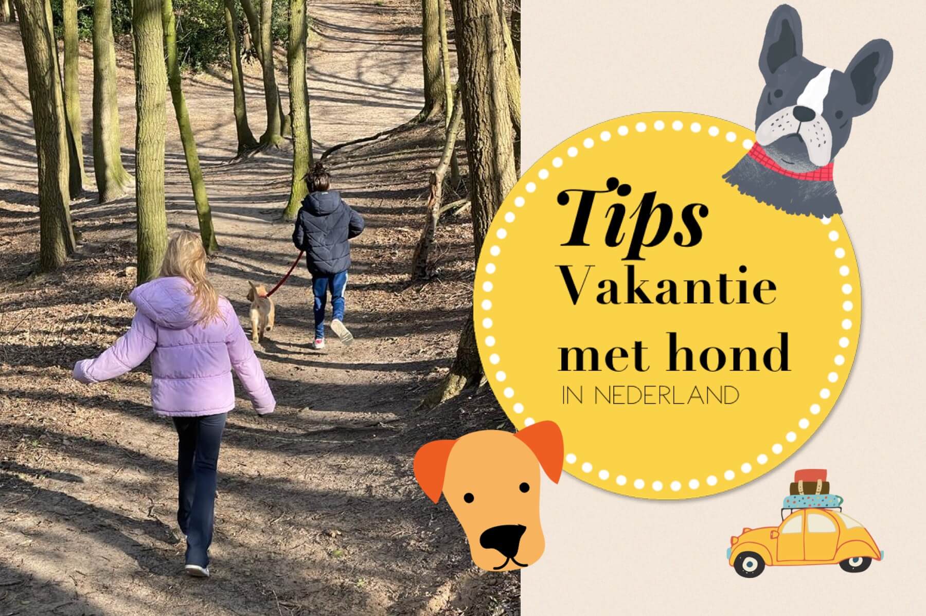 versus opvoeder vuist Vakantie met hond in Nederland: tips voor huisjes en hotels