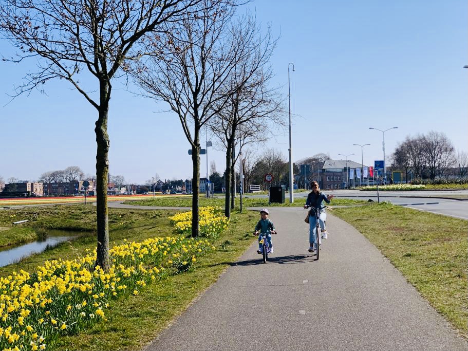 fietsen bloemenvelden,kinder fietstocht,gezins fietstocht,fietstocht voor gezinnen met kinderen,tulpenroute,fietsroute bollenstreek