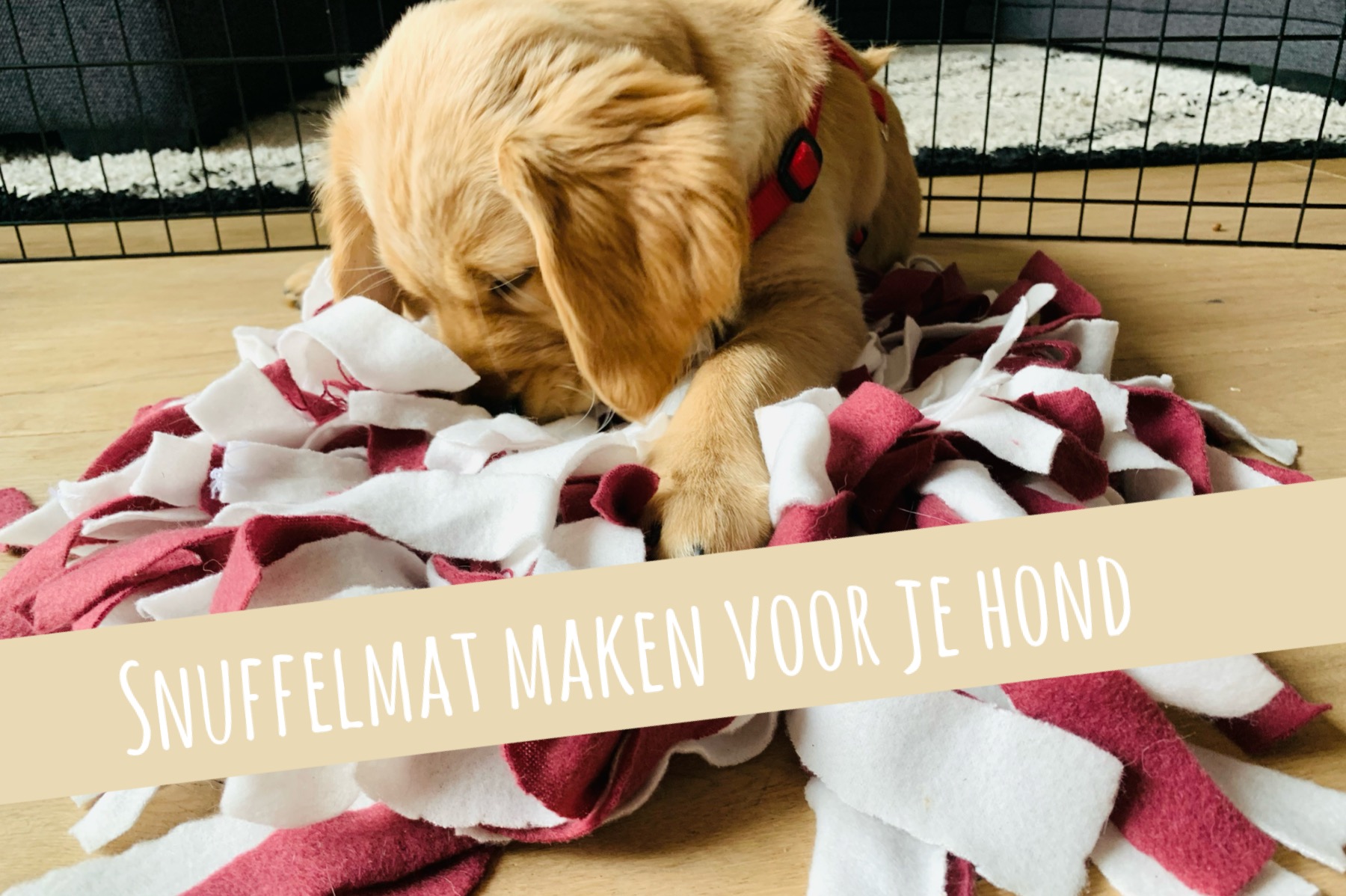 Snuffelmat hond hoe maak je er zelf een? Jongens en meiden Snuffelmat hond hoe maak je er zelf een? Jongens en meiden