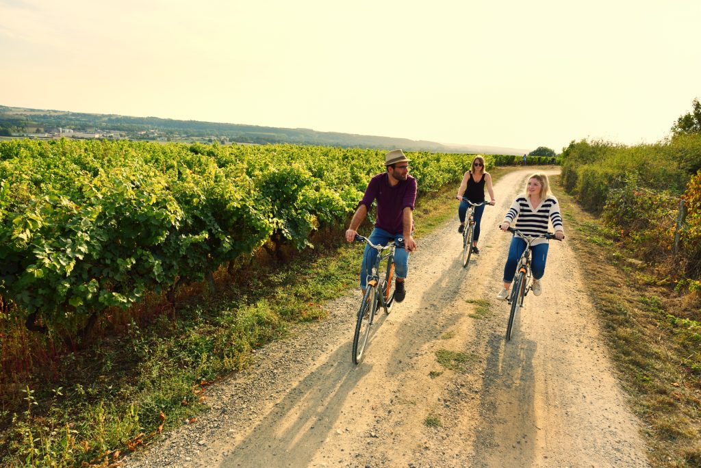 vakantie loire vallei,fietsen langs de wijngaarden
