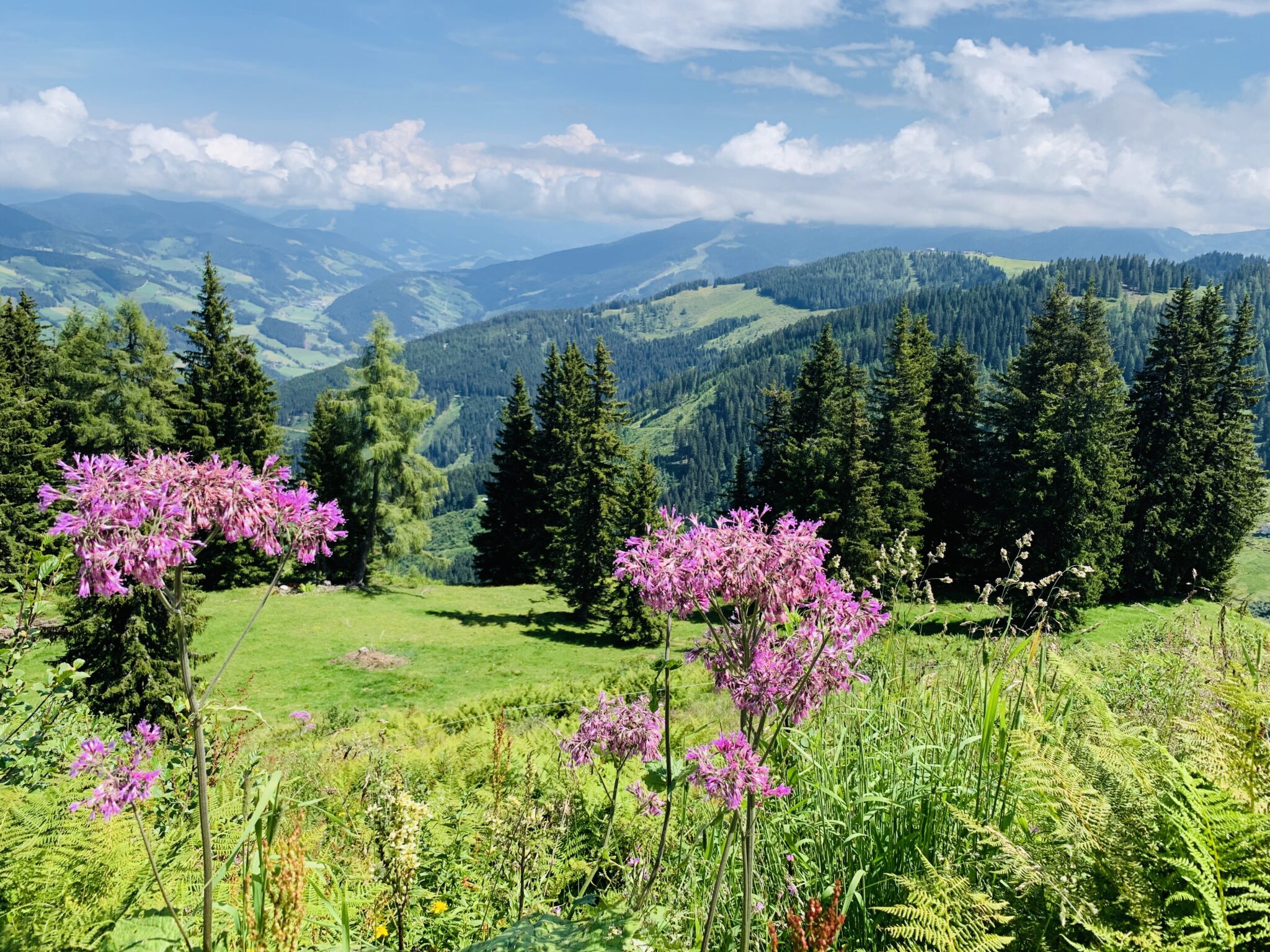 vakantie-karinthie-wat-te-doen-hoe-is-het-weer-tips-campings-en